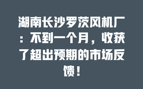 湖南長沙羅茨風機廠：不到一個月，收獲了超出預期的市場反饋！ 一