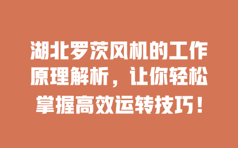 湖北羅茨風機的工作原理解析，讓你輕松掌握高效運轉技巧！ 一
