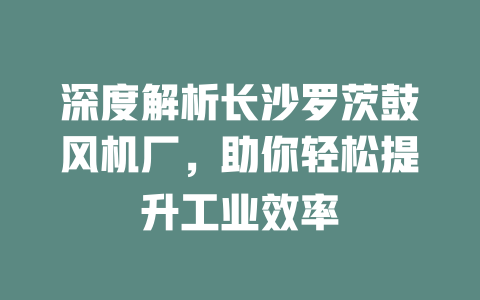 深度解析長沙羅茨鼓風(fēng)機廠，助你輕松提升工業(yè)效率 一