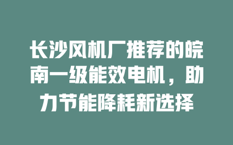 長沙風機廠推薦的皖南一級能效電機,助力節(jié)能降耗新選擇 一