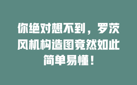 你絕對想不到，羅茨風機構造圖竟然如此簡單易懂！ 一