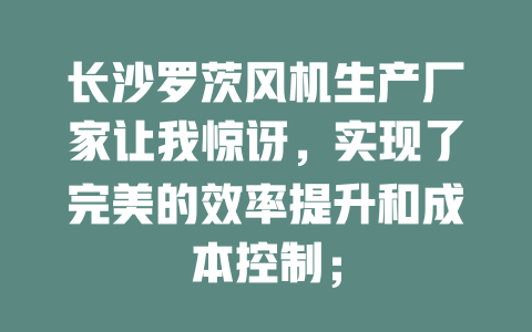 長沙羅茨風機生產廠家讓我驚訝，實現了完美的效率提升和成本控制； 一