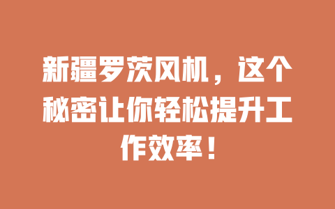 新疆羅茨風(fēng)機,這個秘密讓你輕松提升工作效率! 一