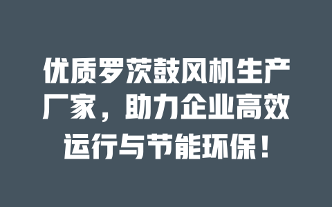 優質羅茨鼓風機生產廠家，助力企業高效運行與節能環保！ 一