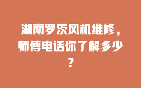 湖南羅茨風機維修，師傅電話你了解多少？ 一
