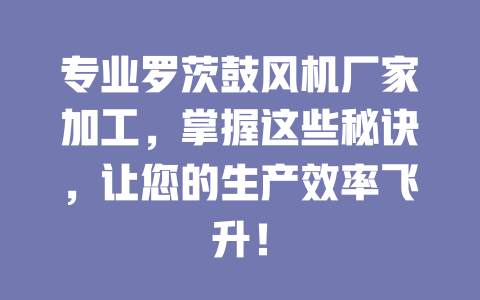 專業羅茨鼓風機廠家加工,掌握這些秘訣,讓您的生產效率飛升! 一