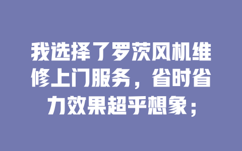 我選擇了羅茨風(fēng)機(jī)維修上門服務(wù)，省時(shí)省力效果超乎想象； 一